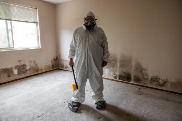 Best Mold Remediation for Healthcare Facilities  in Sussex, NJ